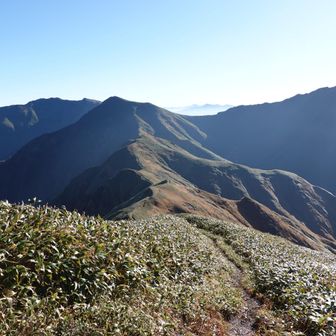 後ろを振り返って
一番奥が谷川岳です、大分離れましたがまだ中間点にも来ていません