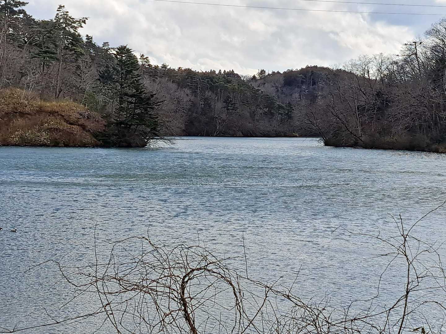 三共堤
川鵜がいます🦤