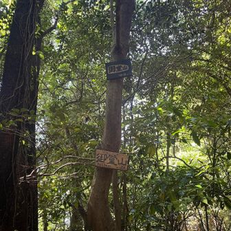 五井山・宮路山・御堂山 2座め