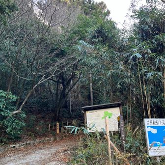有馬温泉川の登山口
もう降りてきました
ちなみにヤスさん、二度目の六甲でしたが前回ココ有馬から山頂へのピストンで眺望の無い道に六甲は大して面白く無い山と認識してたらしい😅