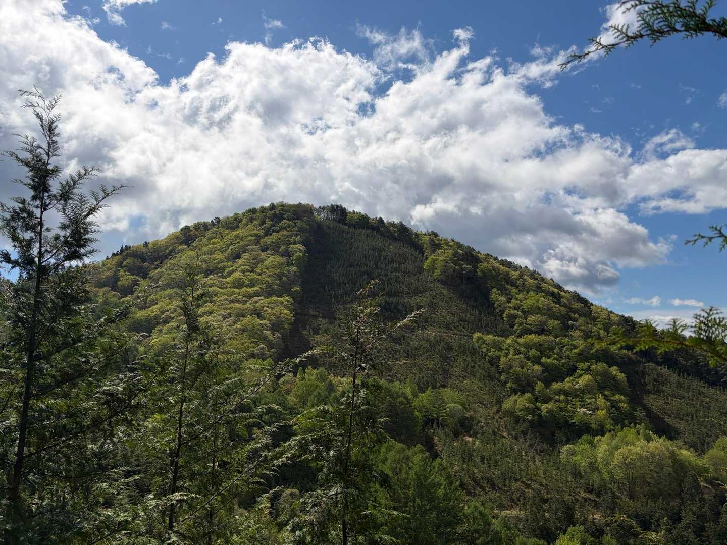 南鷹狩山。グレーピーク。行きません。