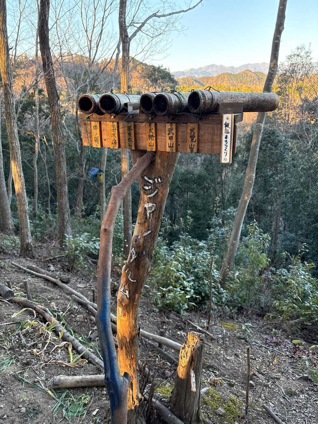 龍崖山-柏木山-赤根峠 周回コースの写真