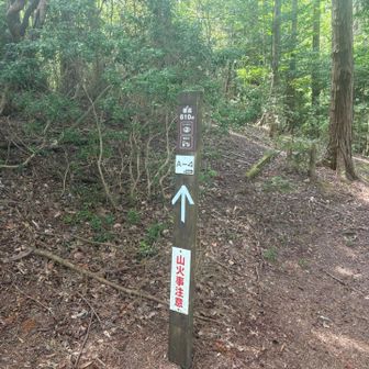 里見峠
ここまできつかった🤣
標高は長坂山より高いようです😂