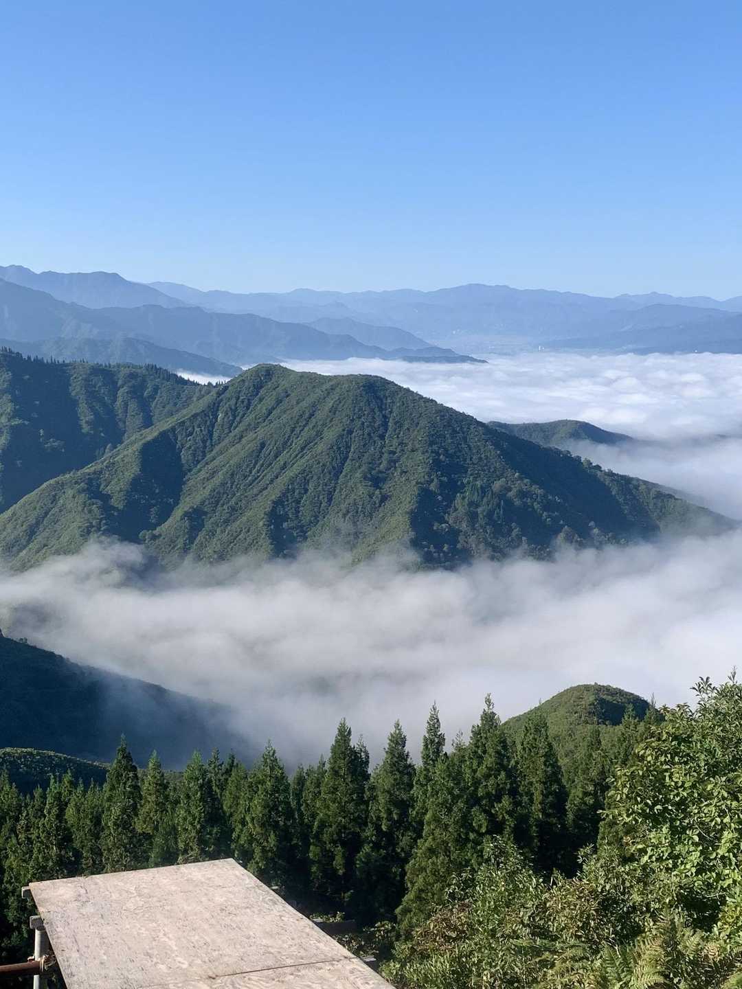 大力山も雲海に囲まれてます。
