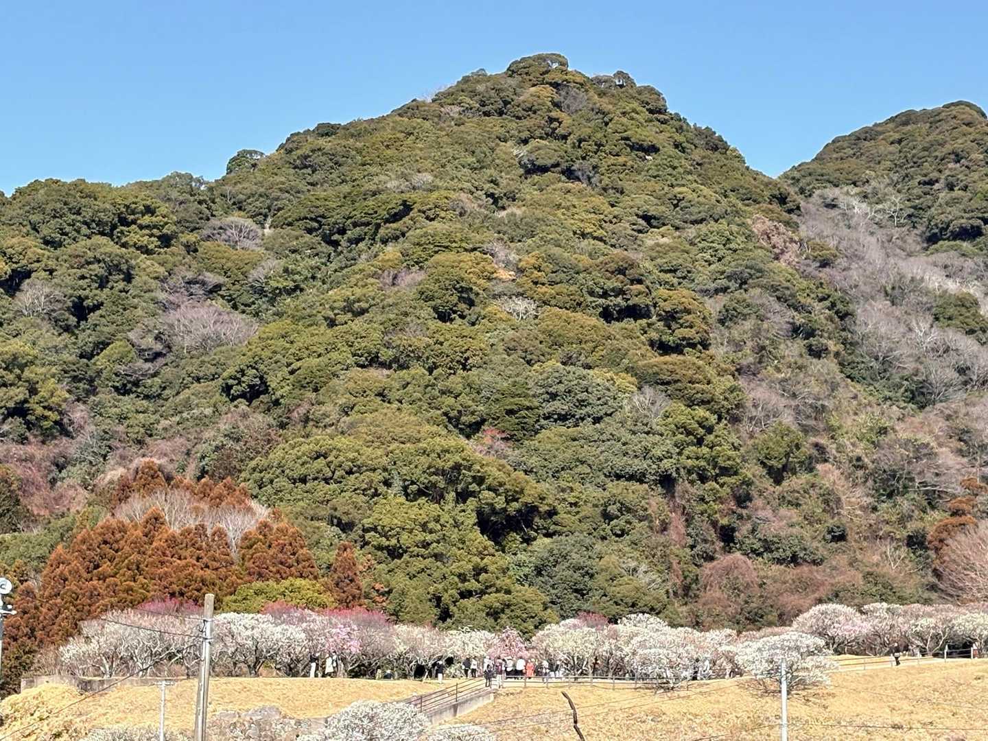 
最後は車道を歩いて無事下山.‎˖٭*
