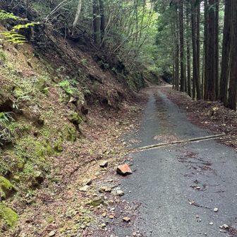 まあま
これくらいなら…と　ゆっくり静かに運転すれば、問題なし