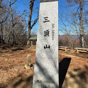東京都独特の、立派な台形標識。
三頭山1524.5m