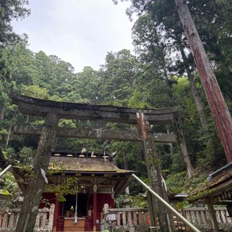 東照宮まで降りてきました
石段は下りではあっという間です
お疲れ様でした