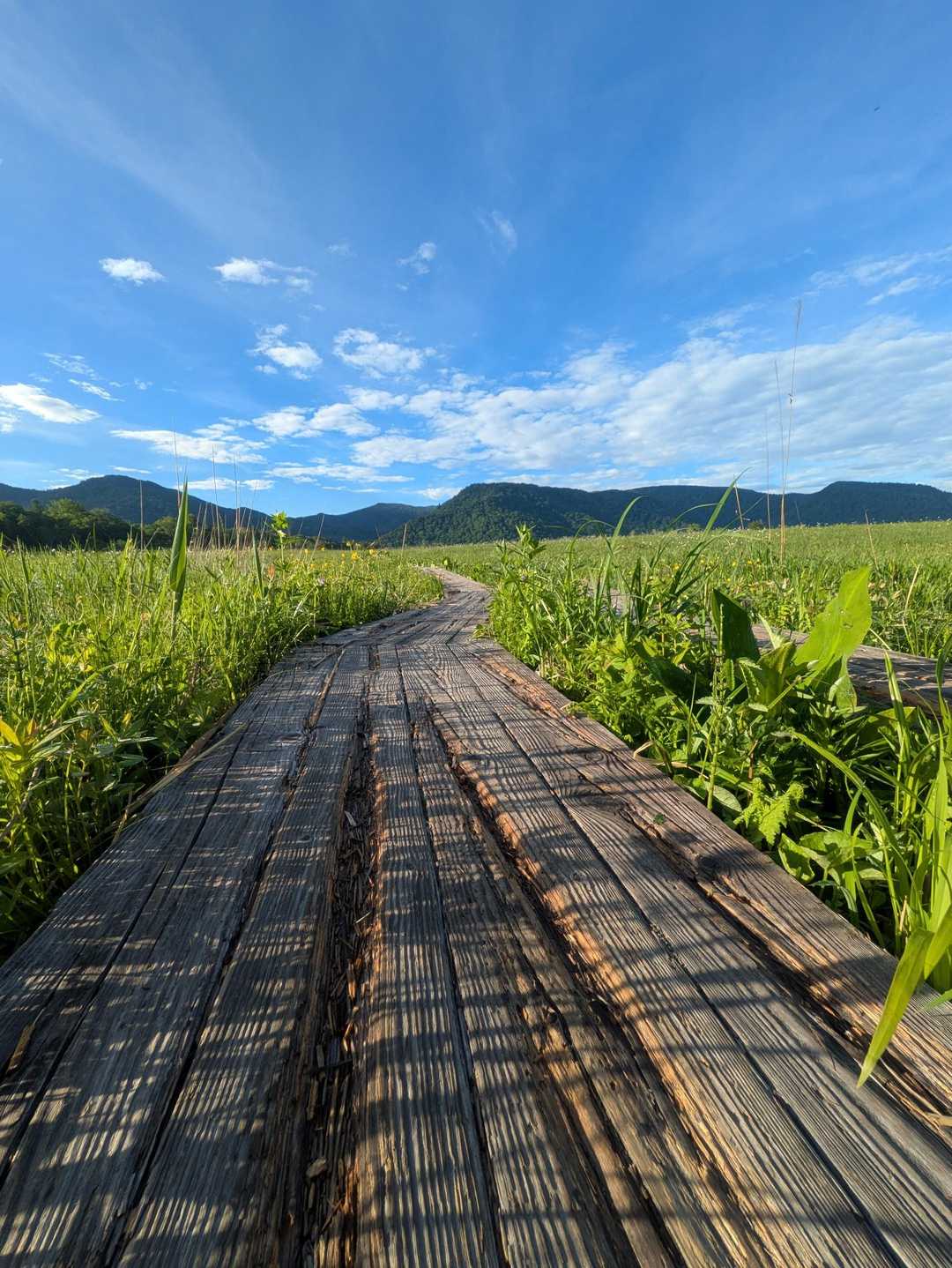 鳩待峠 周回コースの写真