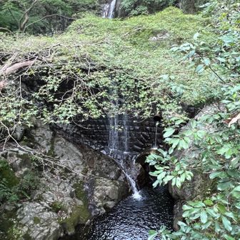 最後に雌滝デス
摩耶のお山は、川あり、湖あり、池あり、滝ありの豊かな水に溢れた場所でした。
摩耶山、幸せな山行をアリガトウ！

追伸、食事は意地になって家まで我慢しました、
腹減った〜！