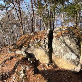 パッカーン
火山岩の膨張と収縮でしょう、見事です