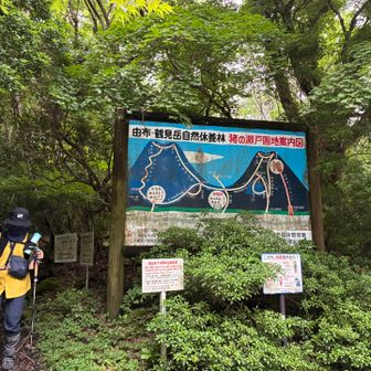 長〜い下りを終えて車道へ