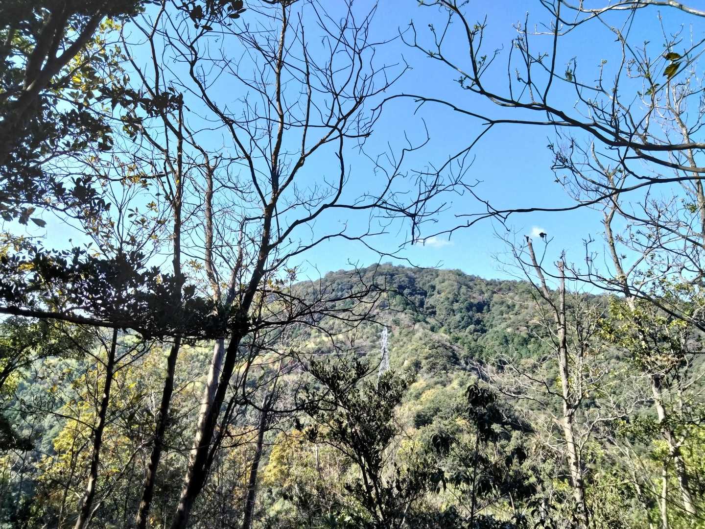 大原山から宗箇山を見る