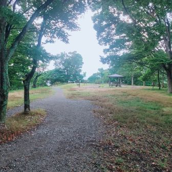 折り畳み傘を差してゆっくり下山