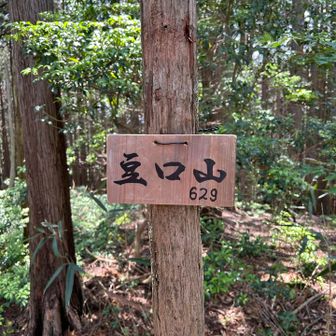 豆口山⛰️