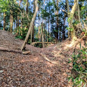 高祖山 山頂手前
戦乱の世
必要だったであろう 堀切 跡