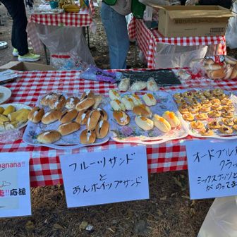 大野峠→飯盛峠

大野峠はずっと楽しみにしてたフルーツサンド！！！！🍎🍊とあんホイップサンド🥺
あとトマトライチジュース？がおいしかったです

ここは知ってる区間だから走れるところはしっかり走れた🏃🏽‍♀️