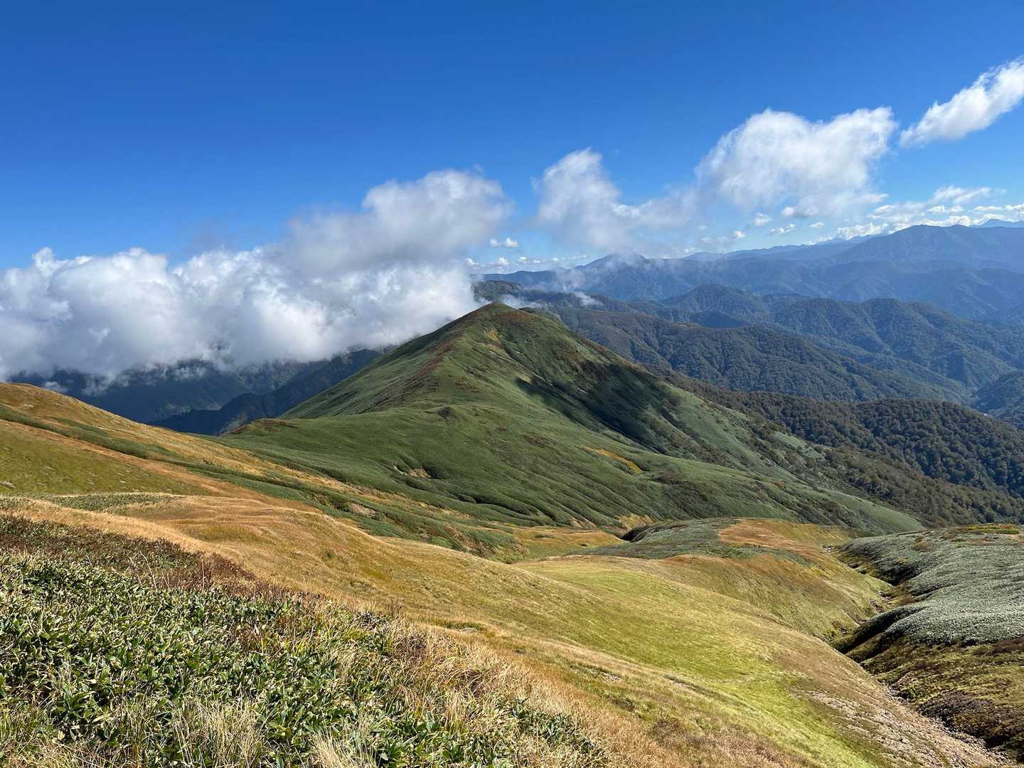 井戸尾根コース | 「ニセ巻機山」を越え、池塘と草原広がる織姫伝説の山頂への写真