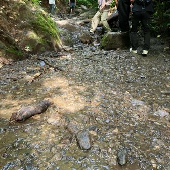 沢登りは涼しくて気持ちイーです