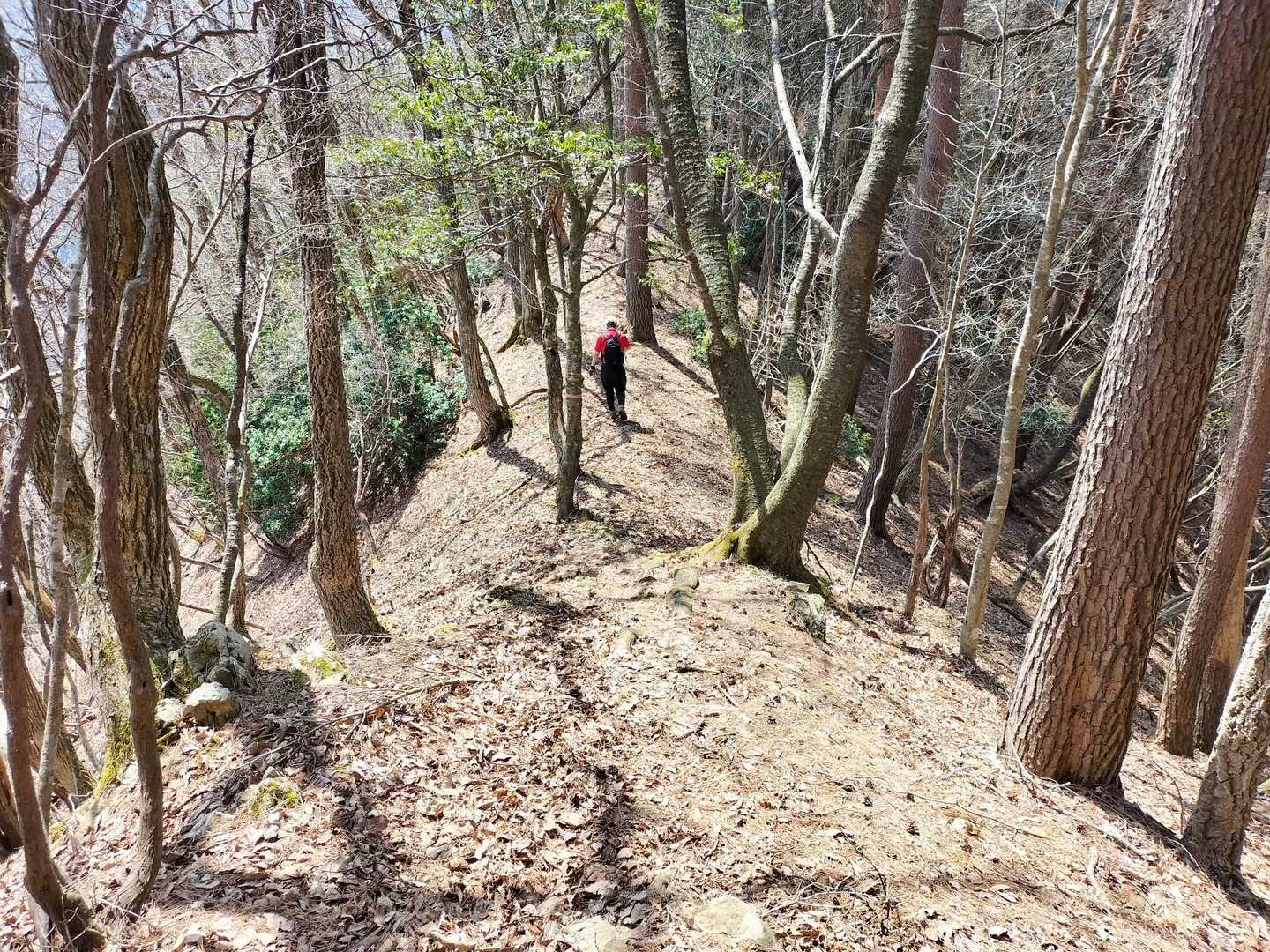下りの快適区間🚶🧑‍🦯