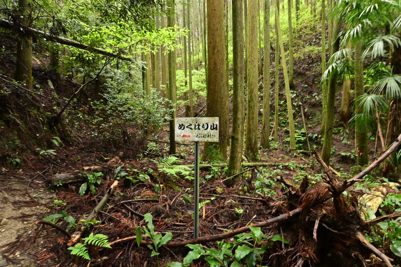 みわ一歩桜-高宮山-小鷹城山-小鷹城山登山口 周回コースの写真