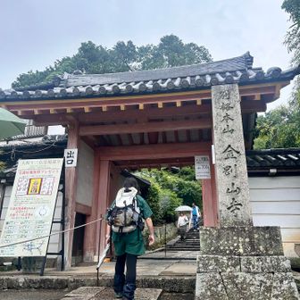 業務用カメラ持参の頼もしいカメラマン