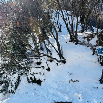 水沢峠から登って来られた方
お二人とご挨拶　
片方チェーンスパイク紛失されて
探してみえました