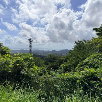 大楠山は展望台が封鎖されているため、広場からはこの程度の展望しかありませんでした