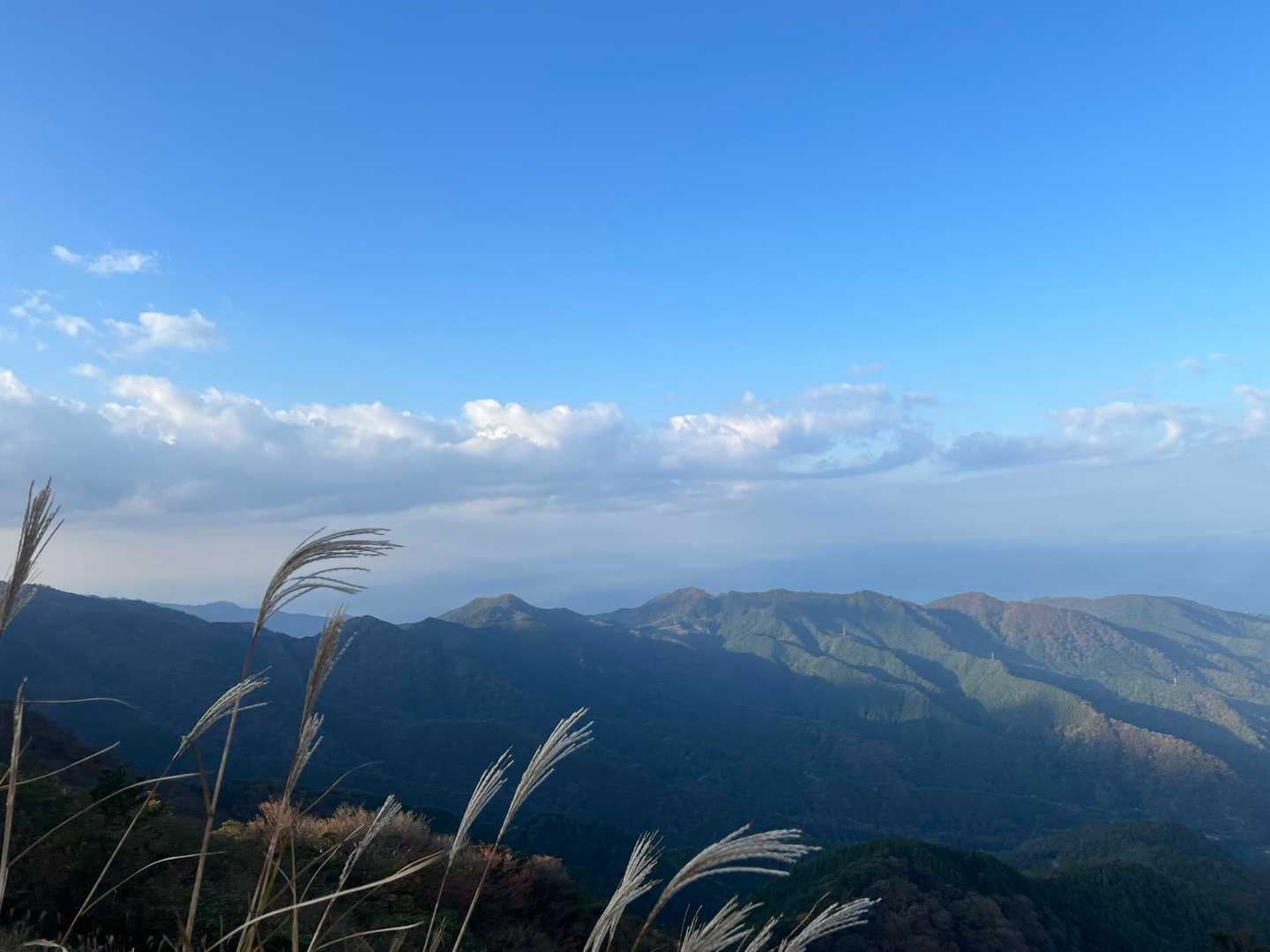 戸田峠-小達磨山-達磨山-古稀山-伽藍山 往復コースの写真