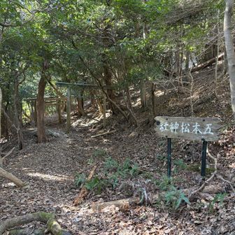 神社からの直登はお勧めできません！