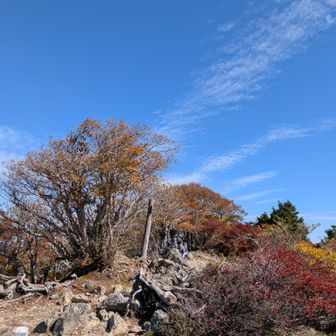 しばらくすると、トンネル西口駐車場から上って来たという、若者２人が登場😆
さあ、戻りましょう。山頂の様子を📷️