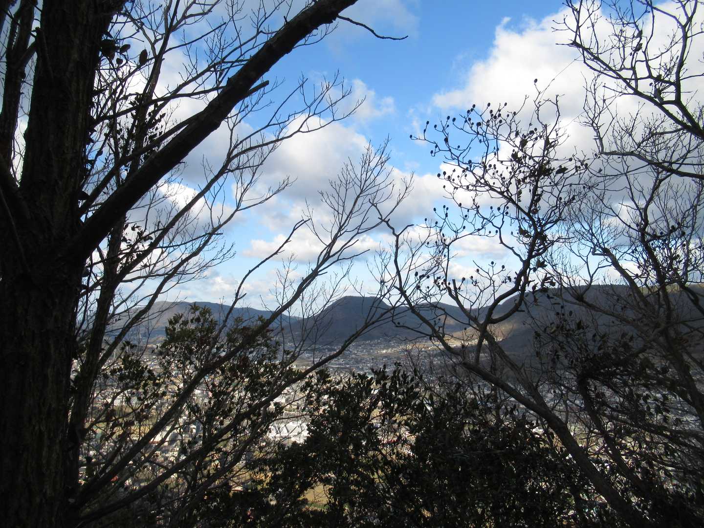 山頂からの眺望はもう一つ、木々の向こうに五色台方向がなんとか見えます。