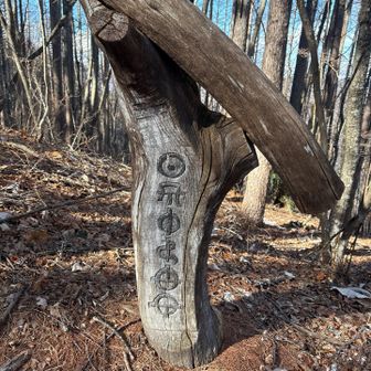 宇宙語？
後で正解が分かります🤭