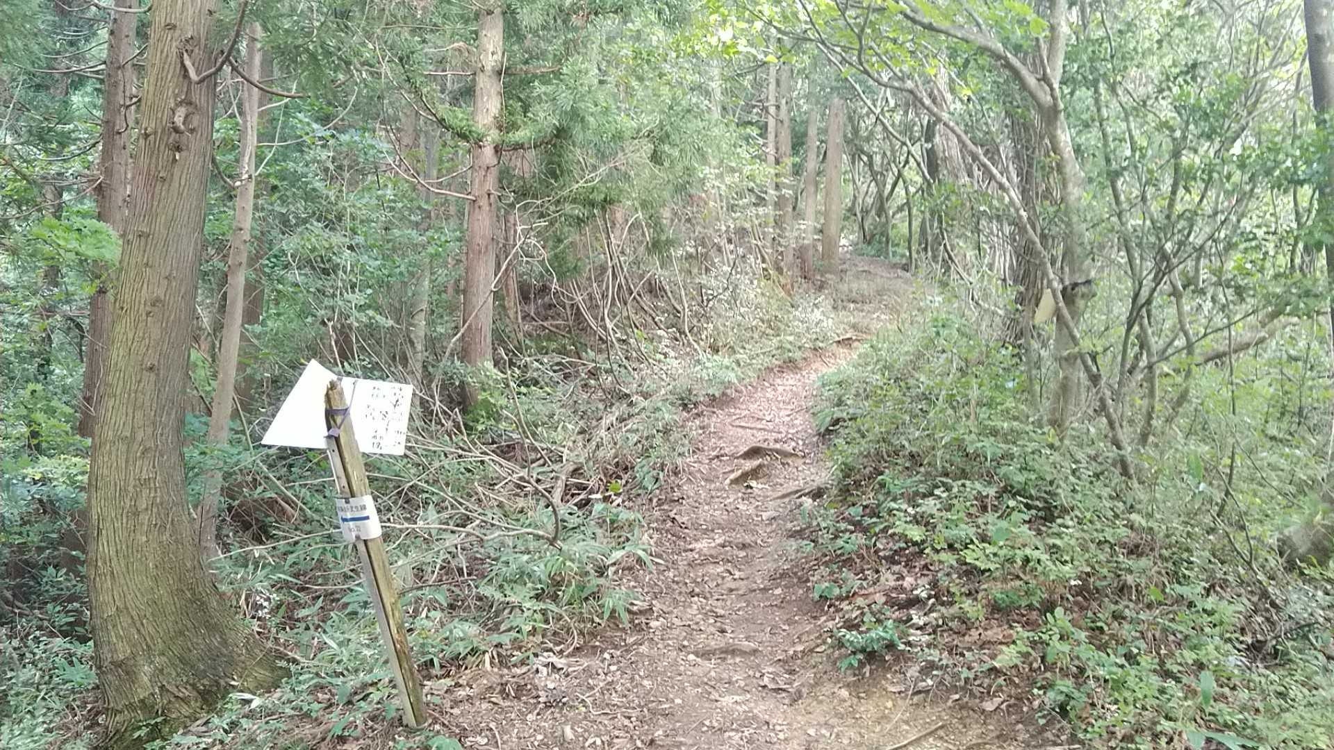 西谷分岐