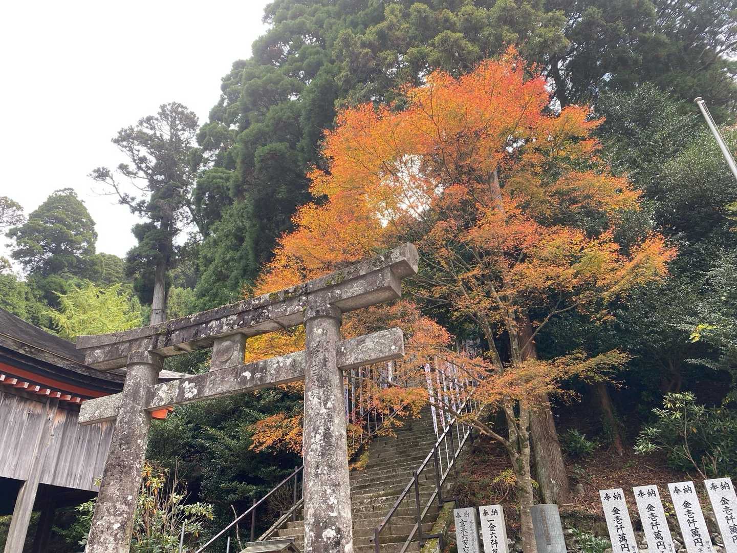 別所登山口-奉幣殿 往復コースの写真