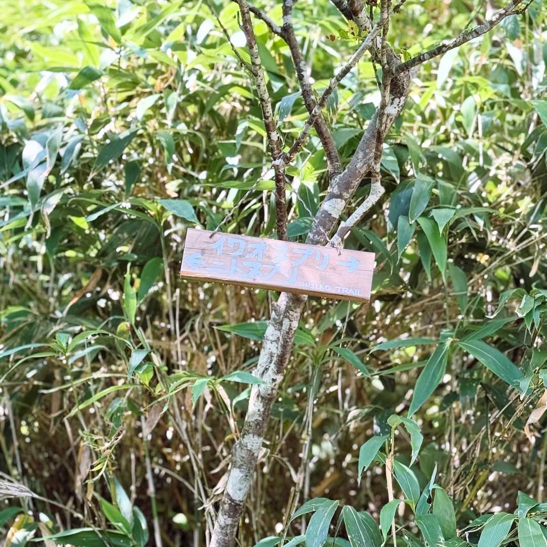 手書き看板も🪧味がある😍