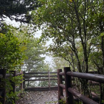 展望台
木々が伸びて🤣今日は、霧の中だし