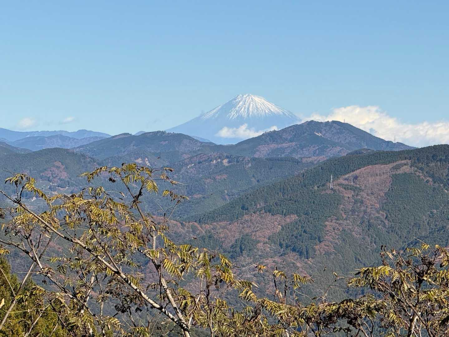 日当山-奥山北-八高山 周回コースの写真