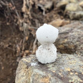 今季お初の雪だるま☃️
前日の金曜日は、飯豊連峰も白くなり 冬の便りが届きましたョ🥰❄️⋆.˚