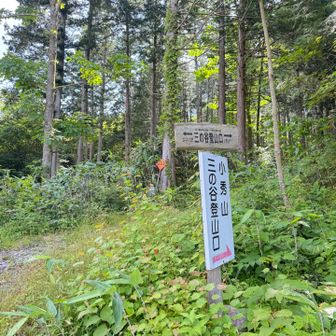 三ノ谷ルート登山口

ここから2kmちょっとの林道歩き