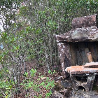 次郎丸岳山頂手前の祠