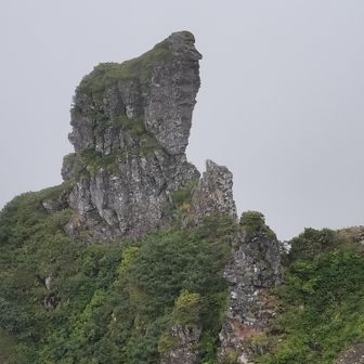 道中見えた不思議な岩
観音様っぽい!?