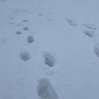 振り返り📷
ズボッと〜🦶一本、一本
けど、なんか楽しい〜笑