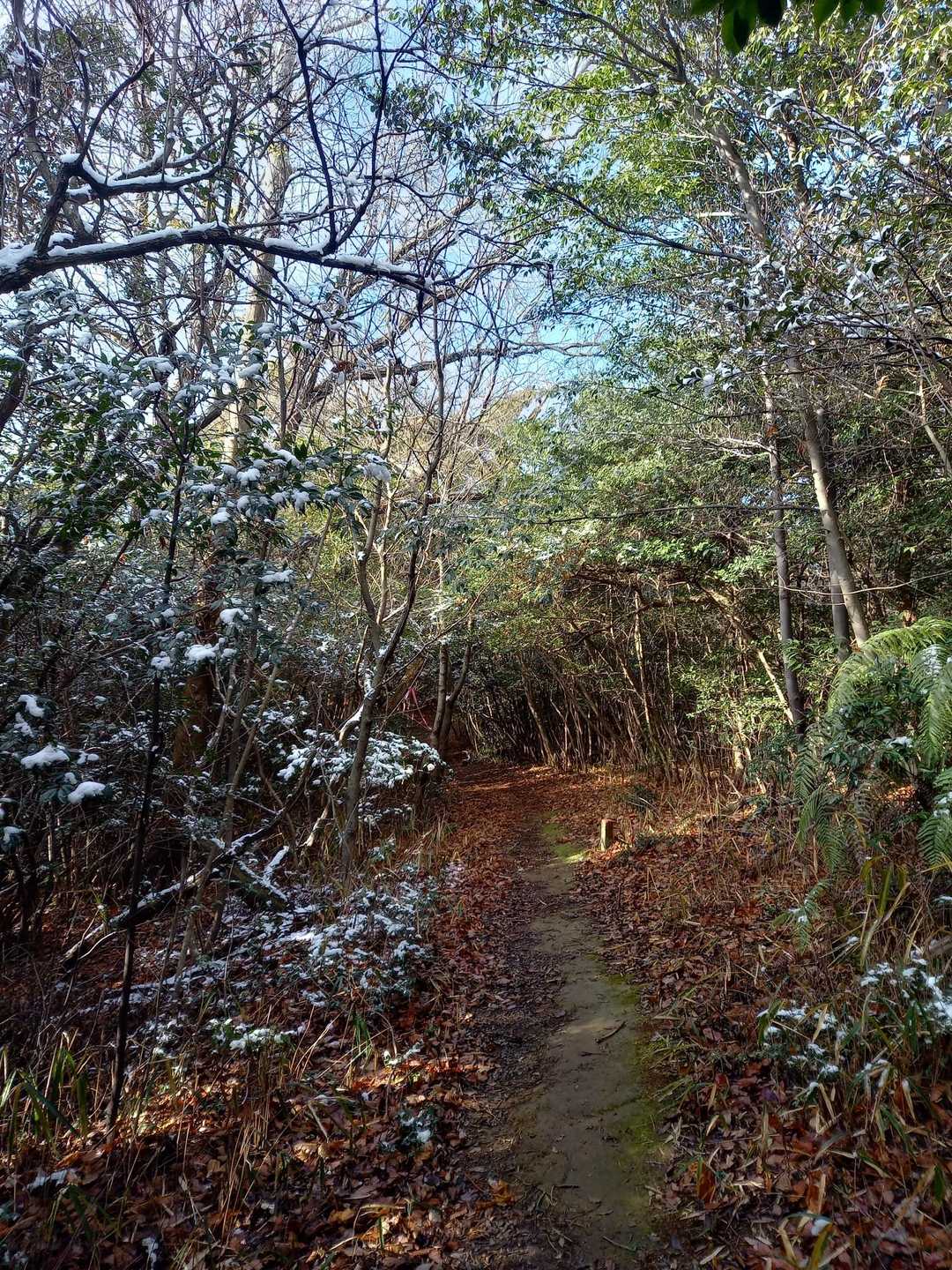 特に看板や柵やロープ等も無く普通に歩けるけど🤔