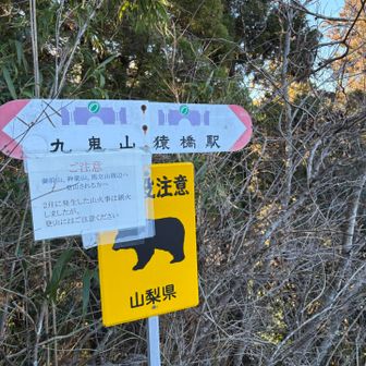 車道まで降りました