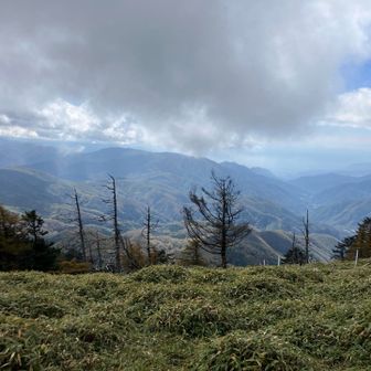 絶景のはずですがガスが抜けません
コンディションが良ければ、富士山🗻も見えるそうです