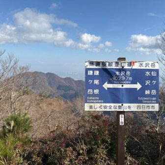 この、縦書きと縦書きの表示がね、今日の私のトラップでした🪤汗