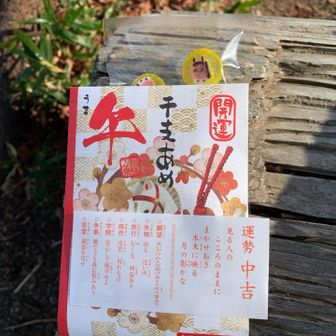 お山の先生にいただいた干支飴🍬　中吉　なかなか良き🤩