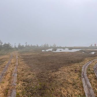 中門岳の一番奥。木道をぐるっと回ることができます。