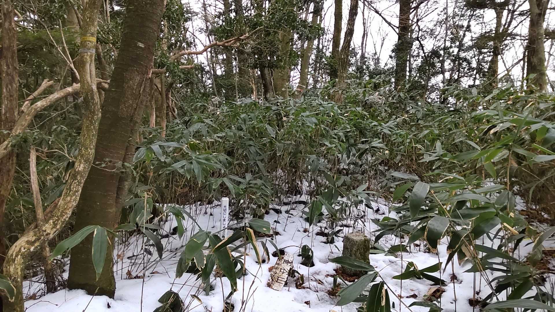 山頂✨